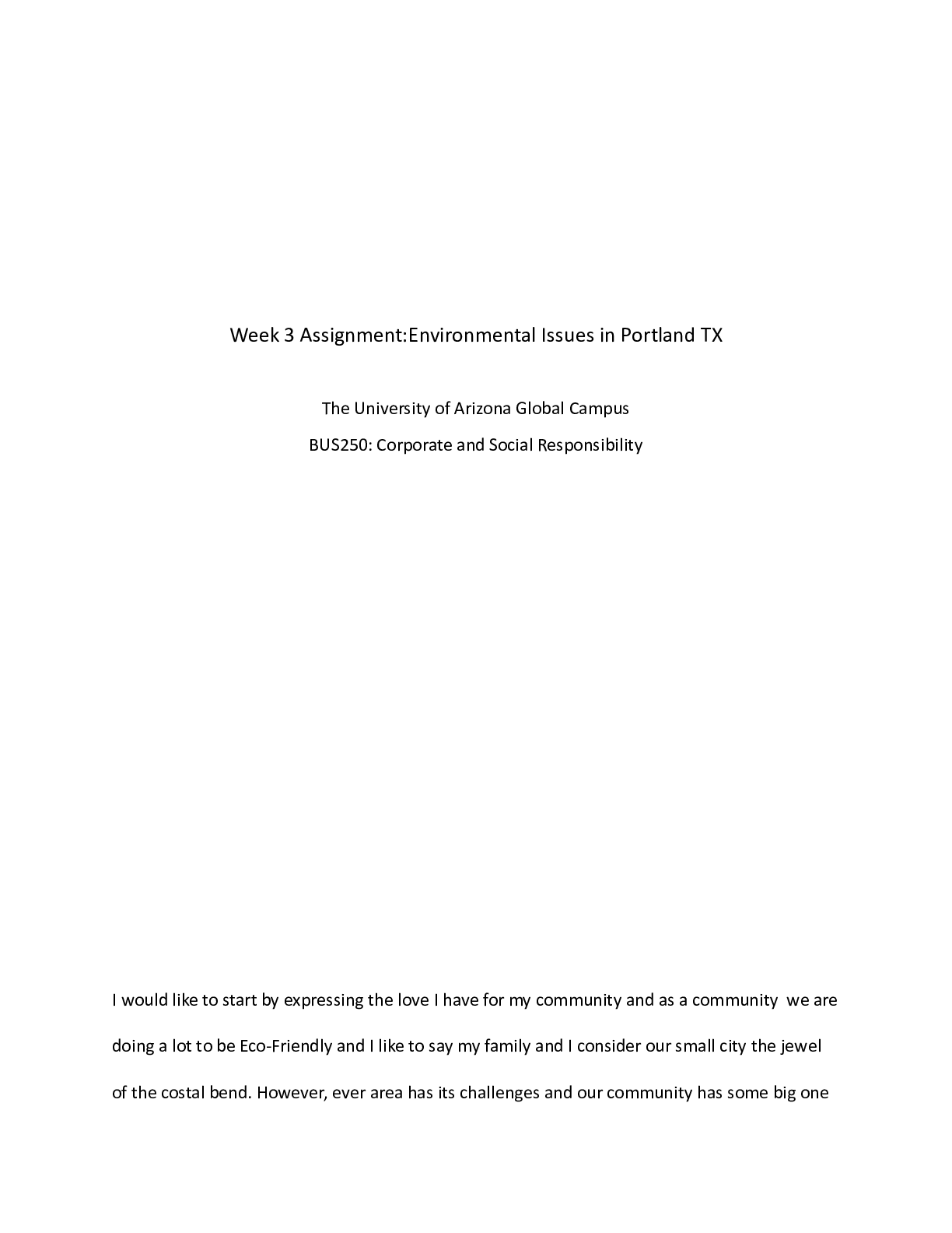 Preview image of BUS250 Assignment Week 3.docx document